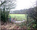 Overgrown gateway, South Cubbington wood