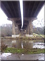 SE5401 : Under the bridge. by steven ruffles