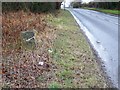 Milestone near Ansty