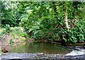 View crossing the ford on the River Rea