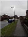 Lamppost in Allangate Drive