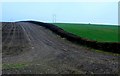 Fields near Normandy Farm