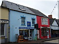 Pet shop, Aberteifi/Cardigan