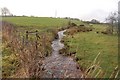 Bellahill Road near Carrickfergus