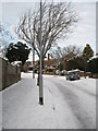 Heavy snow in East Cosham Road