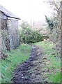 Footpath, Ston Easton