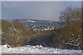 Reigate in the snow