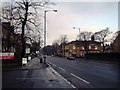 Manningham Lane, Bradford