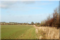 Bridleway north from Newfields Farm