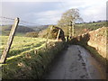 Country lane, east of Bampton