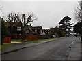 Woodlands Avenue on a dreary January morning