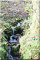 Water Fall near Combe Park