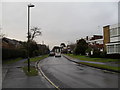 Looking northwards up Woodlands Avenue