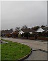 Bungalows in Box Tree Avenue