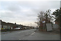 Junction of Alder Lane with Fir Tree Lane