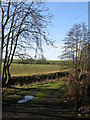 Pylons across farmland