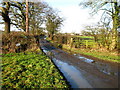 Farm Track, Langwith