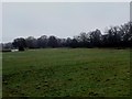 Flood Plain Meadows off The Itchen Way