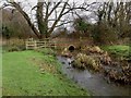 SU4516 : A Waterway running through Itchen Country Park Watermeadows by dinglefoot