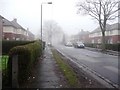 Shepley Street, looking north