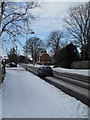 Lamppost in Emsworth Road