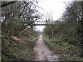 Footbridge over the Biddulph Valley Way