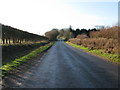 View along Calleywell Lane towards Aldington