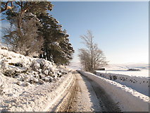 NY8453 : The minor road between Allendale and Sinderhope in the snow (2) by Mike Quinn
