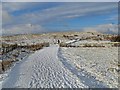 The Meadows covered in snow