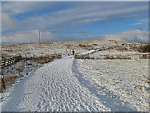 SJ3137 : The Meadows covered in snow by Linnet