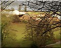 Outbuildings, Boomer Farm