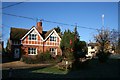 Houses past the tree