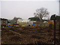 A quiet  day at the allotments.