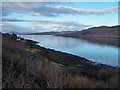 Shore of Loch na Cairidh