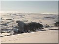 NY8452 : Snowy pastures around East Garret's Hill by Mike Quinn
