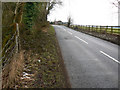 Yorkley Lane, near Badhamsfield, south of Yorkley