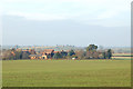 Looking northwest to Newfields Farm from Shakers Lane