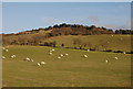 Fields south of Staylittle