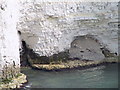 SZ0582 : A Geo & a Natural Arch in Old Harry by N Chadwick