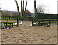 Amport - Goose Paddock