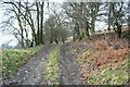 Footpath to Maen-y-goron-uchaf