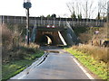 Double bridge over Blind Lane