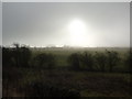 Looking towards Rodknoll Lane