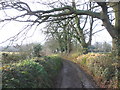 Narrow lane, above Silverton