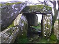 Chambered grave, Beltany (6)