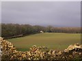 Field viewed through broken wall