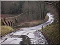 Stream from Pheasant Copse