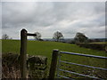 Gate and footpath sign at Chanderhill