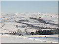 Snowy East Allen Dale north of High Studdon