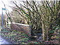 Footpath and small stream from Dicksons Bourne